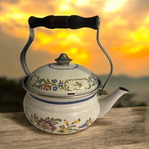 VTG ASTA‎ Tea Kettle Tea Pot Enamel Ware Floral Pattern 9.5" Made in Germany